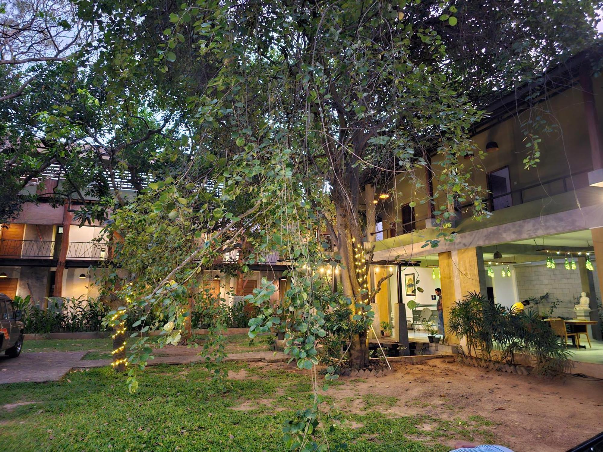 Royal Tusker Hotel Udawalawe Exterior photo